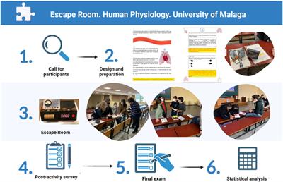 Impact of a peer-to-peer escape room activity in the learning of Human Physiology of medical students from the university of Málaga